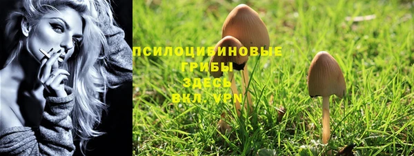a pvp Дмитровск