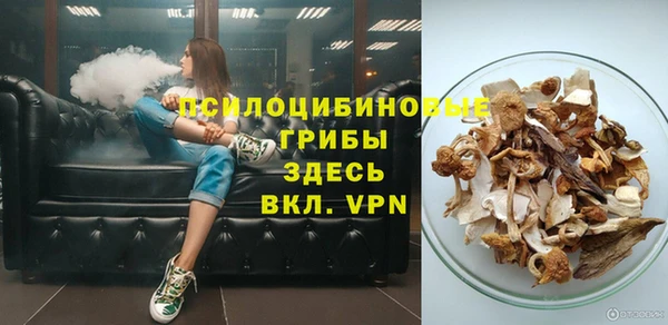 ECSTASY Дмитриев