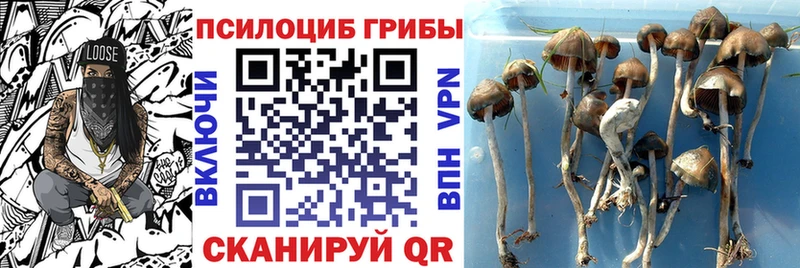 blacksprut вход  где купить наркоту  Рыбинск  Галлюциногенные грибы MAGIC MUSHROOMS 